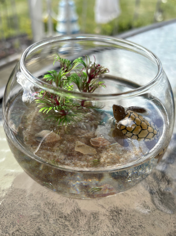 Resin Fish Bowls